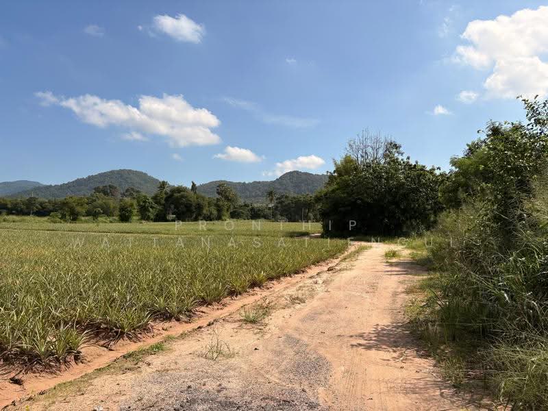 ขายด่วน ที่ดินเขาคันทรง ศรีราชา เกือบ 17 ไร่ ใกล้ WHA 2 และทางหลวง 331, Chon Buri (Pattaya), Khao Khan Song, Si Racha, Chon Buri (Pattaya), , 27,044 sqm, Land For Sale, by Pronthip Wattanasatiengul, 500677180 - DDproperty.com