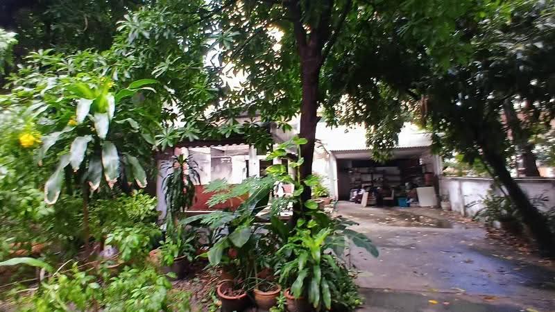 ที่ดิน สุขุมวิท, กรุงเทพ, สุขุมวิท 31, หัวหมาก, บางกะปิ, กรุงเทพ, 1,000 ตร.ม., กิจการ ขาย, โดย รัชพล, 500677263 - DDproperty.com