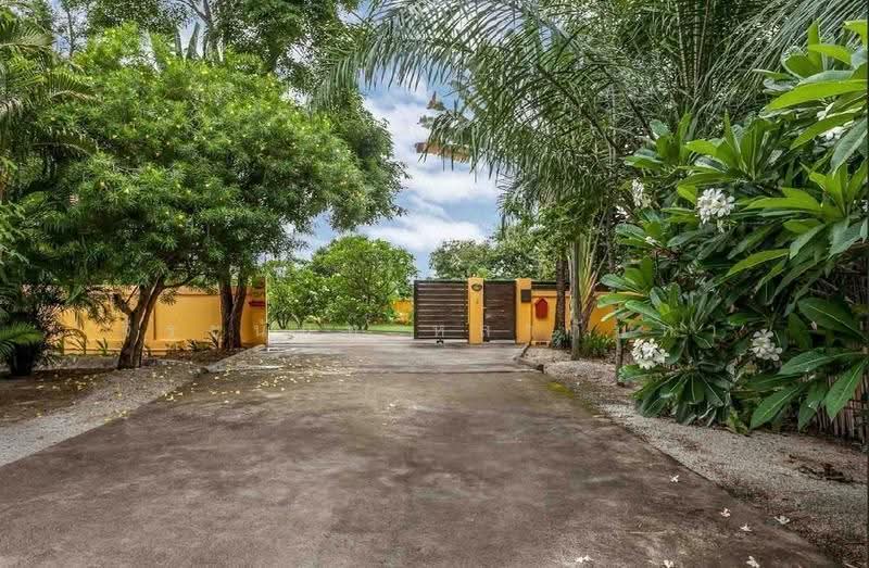 For Sale:Two-Storey Mediterranean Pool Willa, 5 Beds,Saltwater Pool,Paddy and Mountain Views, Chiang Mai, Rim Nua, Mae Rim, Chiang Mai, 5 Bedrooms, 600 sqm, Villa For Sale, by Jeeranan Lakanha, 500678525 - DDproperty.com