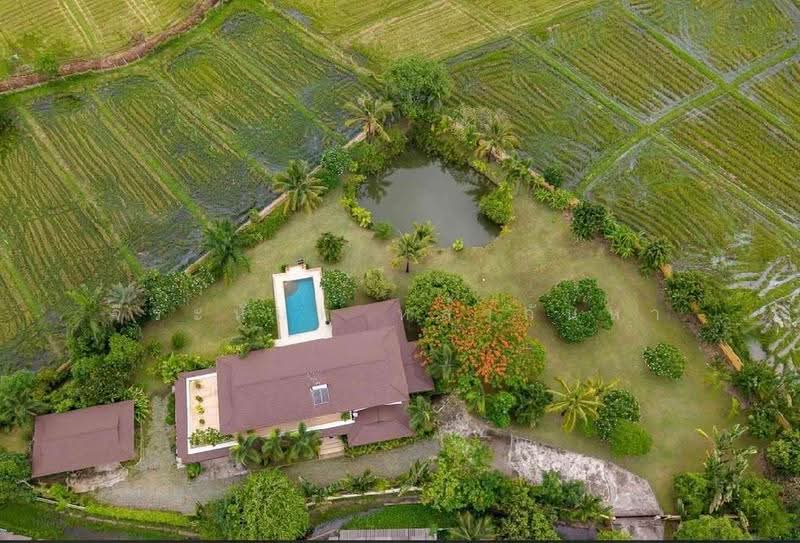 For Sale:Two-Storey Mediterranean Pool Willa, 5 Beds,Saltwater Pool,Paddy and Mountain Views, Chiang Mai, Rim Nua, Mae Rim, Chiang Mai, 5 Bedrooms, 600 sqm, Villa For Sale, by Jeeranan Lakanha, 500678525 - DDproperty.com