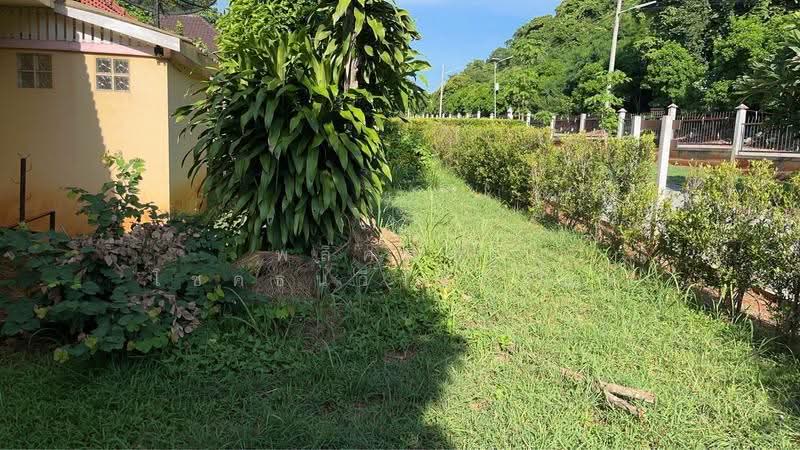 พาลาไดเขาใหญ่, Nakhon Ratchasima, Mu Si, Pak Chong, Nakhon Ratchasima, 3 Bedrooms, 130 sqm, Single Detached House For Sale, by พลิศภัสร์ โชคธนวีระกานต์, 500678602 - DDproperty.com