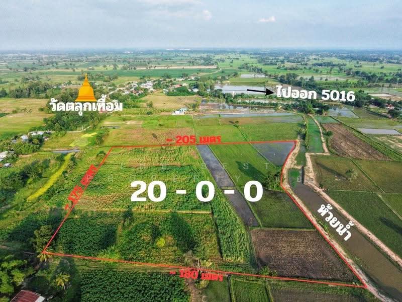 ที่ดินหันคา ชัยนาท, ชัยนาท, หนองแซง, หันคา, ชัยนาท, 32,000 ตร.ม., ที่ดิน ขาย, โดย The Best Property แอ้, 500678688 - DDproperty.com