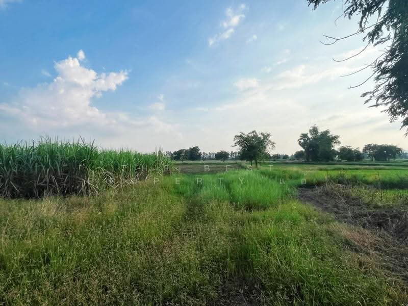 ที่ดินหันคา ชัยนาท, Chai Nat, Nong Zang, Han Kha, Chai Nat, , 32,000 sqm, Land For Sale, by The Best Property แอ้, 500678688 - DDproperty.com