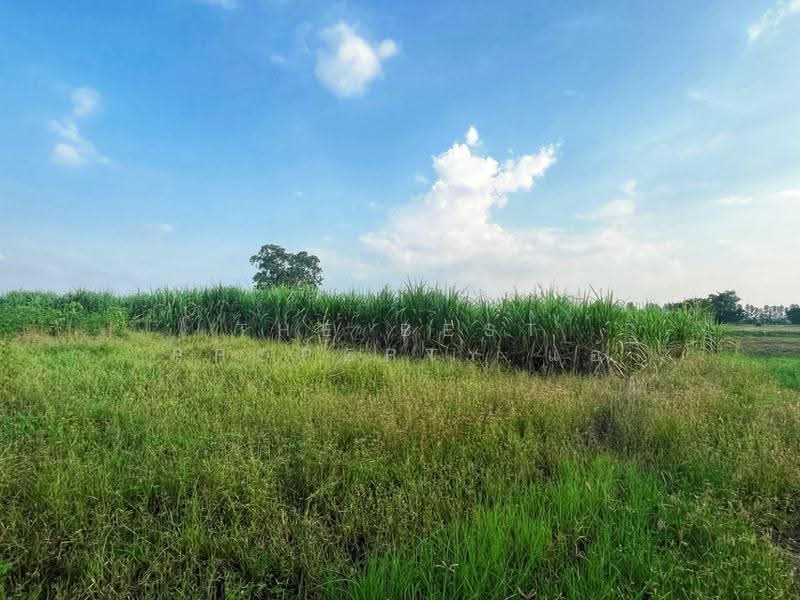 ที่ดินหันคา ชัยนาท, Chai Nat, Nong Zang, Han Kha, Chai Nat, , 32,000 sqm, Land For Sale, by The Best Property แอ้, 500678688 - DDproperty.com
