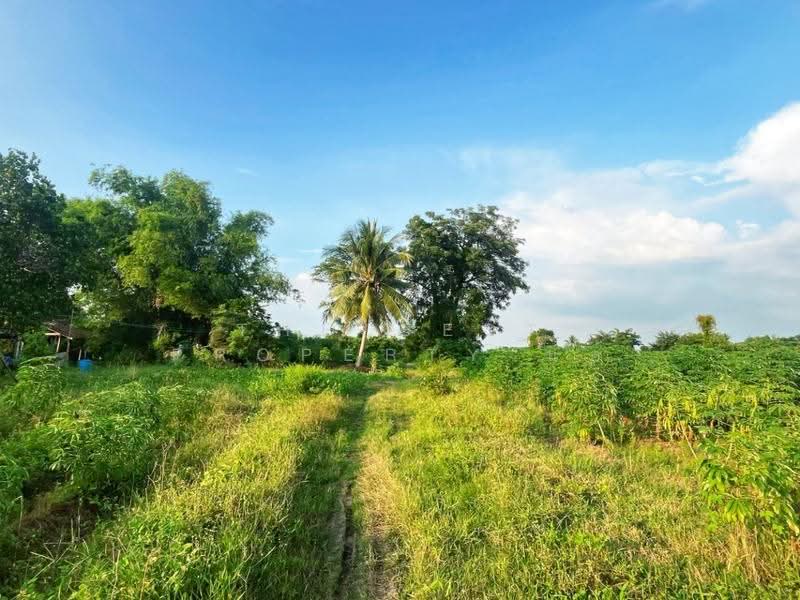 ที่ดินหันคา ชัยนาท, ชัยนาท, หนองแซง, หันคา, ชัยนาท, 32,000 ตร.ม., ที่ดิน ขาย, โดย The Best Property แอ้, 500678688 - DDproperty.com