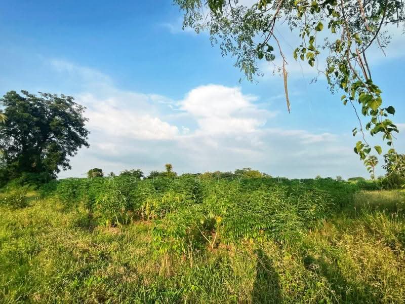 ที่ดินหันคา ชัยนาท, Chai Nat, Nong Zang, Han Kha, Chai Nat, , 32,000 sqm, Land For Sale, by The Best Property แอ้, 500678688 - DDproperty.com