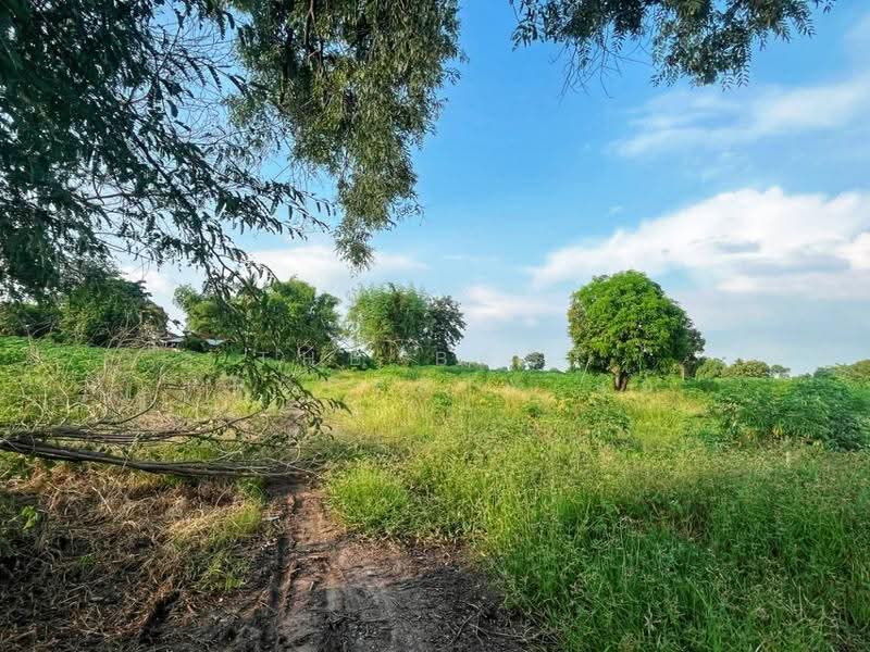 ที่ดินหันคา ชัยนาท, ชัยนาท, หนองแซง, หันคา, ชัยนาท, 32,000 ตร.ม., ที่ดิน ขาย, โดย The Best Property แอ้, 500678688 - DDproperty.com