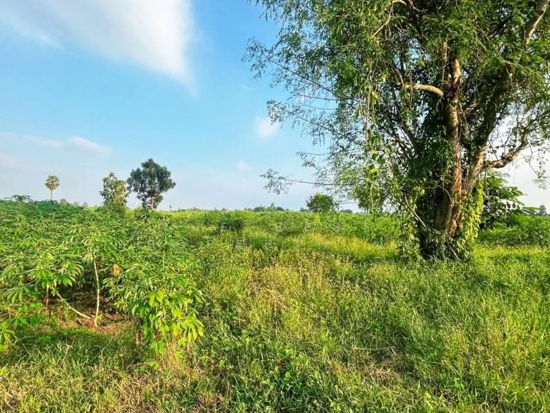 ที่ดินหันคา ชัยนาท, Chai Nat, Nong Zang, Han Kha, Chai Nat, , 32,000 sqm, Land For Sale, by The Best Property แอ้, 500678688 - DDproperty.com