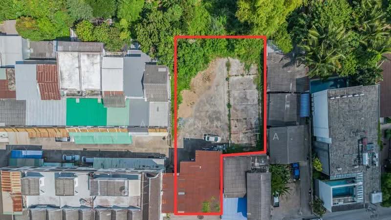 ป่าตัน, Chiang Mai, Pa Tun, Muang Chiang Mai, Chiang Mai, , 1,000 sqm, Land For Sale, by Tanannat Porntadapattanayothin, 500681743 - DDproperty.com