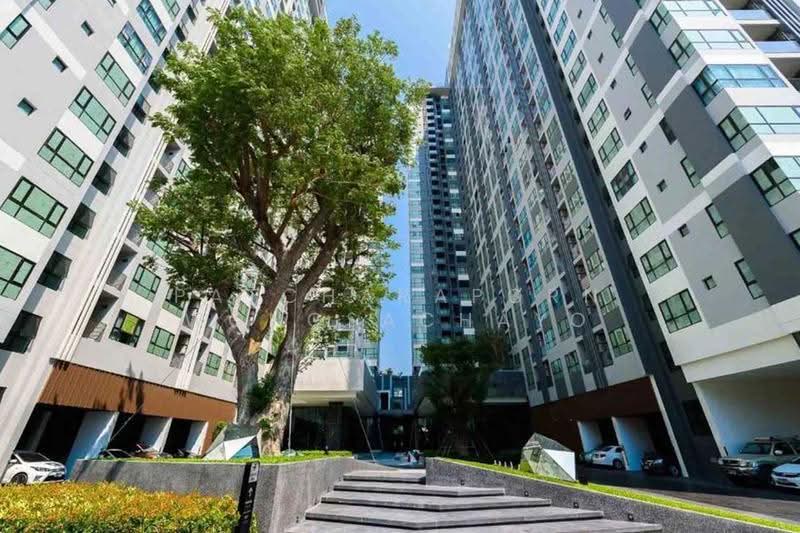 The Base Central Pattaya : เดอะ เบส เซ็นทรัล พัทยา, ชลบุรี, ถนนพัทยาสาย 2, บางละมุง, ชลบุรี, 30 ตร.ม., คอนโด ขาย, โดย Patcharaporn Wongsachayo, 500682547 - DDproperty.com