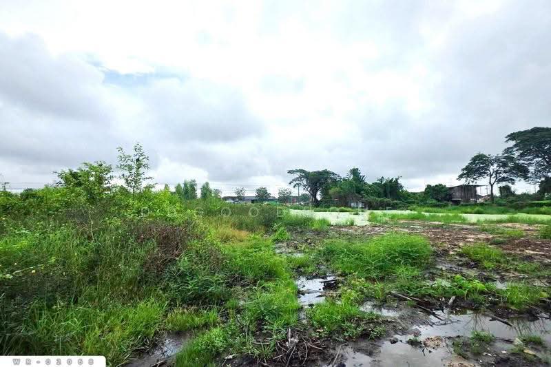 Land in Na Di, Mueang Udon Thani 3 Rai, 355.1 Sq.w. WR-02068, Udon Thani, Na Di, Muang Udon Thani, Udon Thani, , 6,220 sqm, Land For Sale, by DDGOODHOME, 500683649 - DDproperty.com