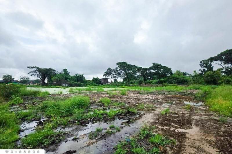 Land in Na Di, Mueang Udon Thani 3 Rai, 355.1 Sq.w. WR-02068, Udon Thani, Na Di, Muang Udon Thani, Udon Thani, , 6,220 sqm, Land For Sale, by DDGOODHOME, 500683649 - DDproperty.com