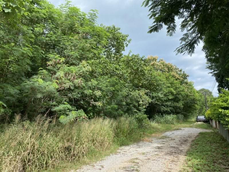 วังไทร ปากช่อง, Nakhon Ratchasima, Wang Zai, Pak Chong, Nakhon Ratchasima, , 1,600 sqm, Land For Sale, by ERA Holding (Thailand) Co., Ltd., 500684995 - DDproperty.com