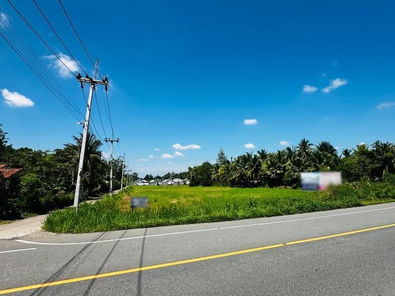 ที่ดินหนองใหญ่ ชลบุรี, Chon Buri (Pattaya), Hang Sung, Nong Yai, Chon Buri (Pattaya), , 5,891 sqm, Land For Sale, by The Best Property มิน, 500685317 - DDproperty.com
