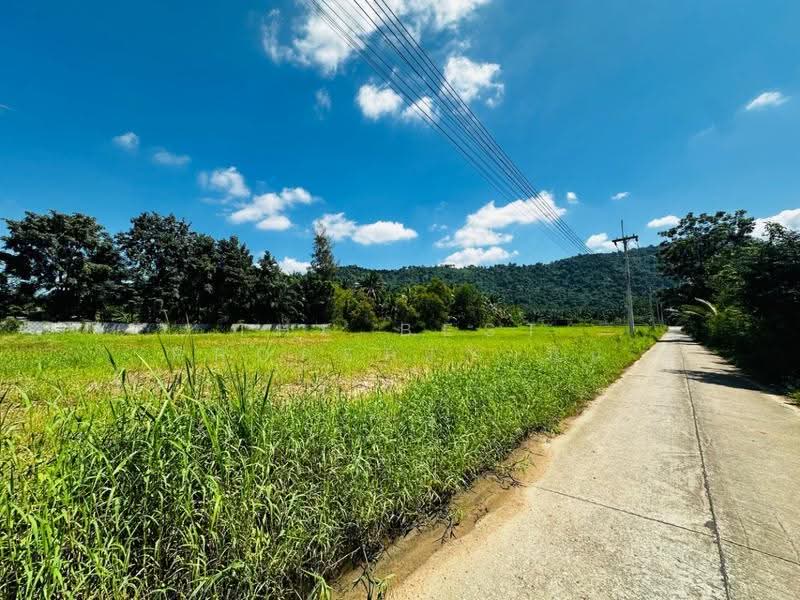 ที่ดินหนองใหญ่ ชลบุรี, ชลบุรี, ห้างสูง, หนองใหญ่, ชลบุรี, 5,891 ตร.ม., ที่ดิน ขาย, โดย The Best Property มิน, 500685317 - DDproperty.com