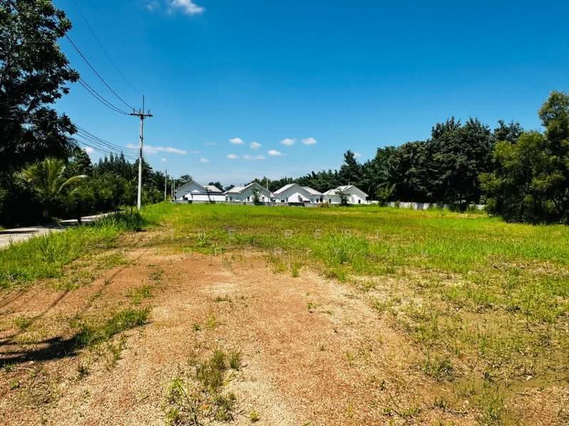 ที่ดินหนองใหญ่ ชลบุรี, Chon Buri (Pattaya), Hang Sung, Nong Yai, Chon Buri (Pattaya), , 5,891 sqm, Land For Sale, by The Best Property มิน, 500685317 - DDproperty.com