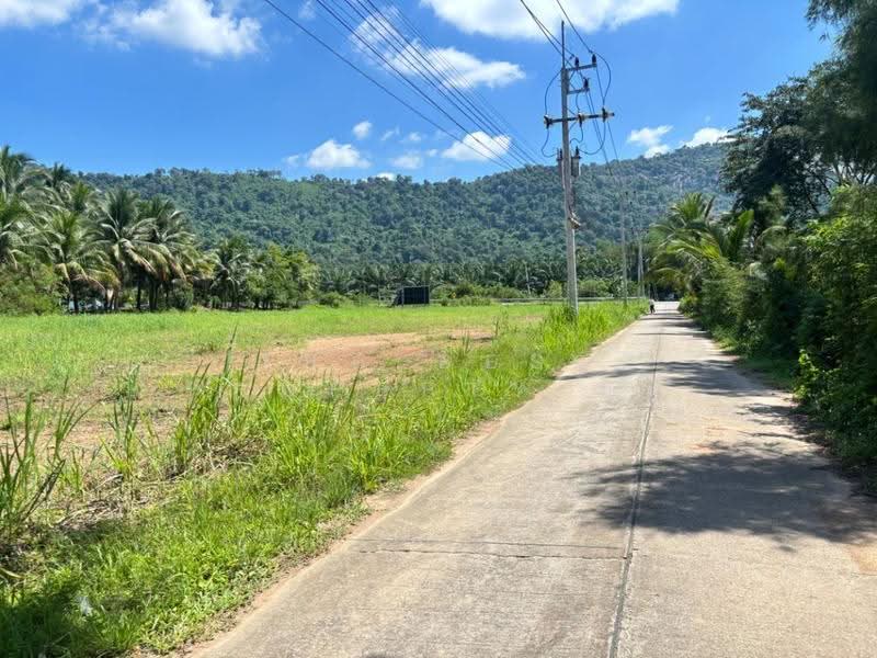 ที่ดินหนองใหญ่ ชลบุรี, ชลบุรี, ห้างสูง, หนองใหญ่, ชลบุรี, 5,891 ตร.ม., ที่ดิน ขาย, โดย The Best Property มิน, 500685317 - DDproperty.com