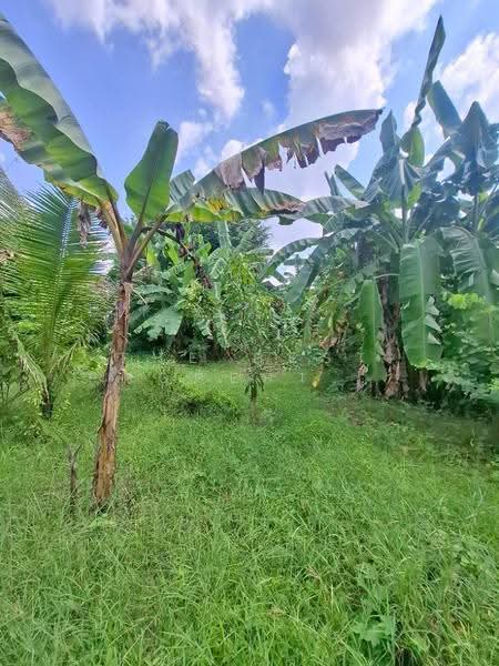 ที่ดินพร้อมสิ่งปลูกสร้างโพธาราม ราชบุรี, Ratchaburi, Nong Kwang, Photharam, Ratchaburi, , 5,765 sqm, Land For Sale, by The Best Property อุ๋ย, 500685329 - DDproperty.com
