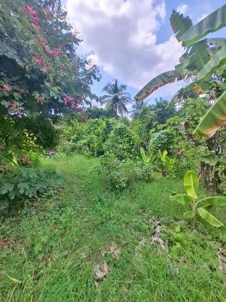 ที่ดินพร้อมสิ่งปลูกสร้างโพธาราม ราชบุรี, Ratchaburi, Nong Kwang, Photharam, Ratchaburi, , 5,765 sqm, Land For Sale, by The Best Property อุ๋ย, 500685329 - DDproperty.com