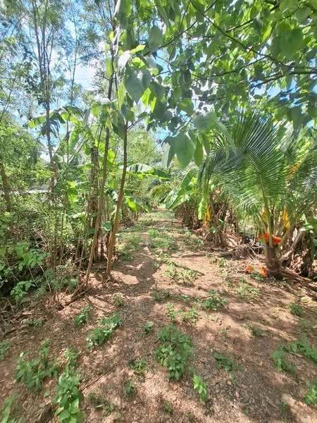 ที่ดินพร้อมสิ่งปลูกสร้างโพธาราม ราชบุรี, Ratchaburi, Nong Kwang, Photharam, Ratchaburi, , 5,765 sqm, Land For Sale, by The Best Property อุ๋ย, 500685329 - DDproperty.com