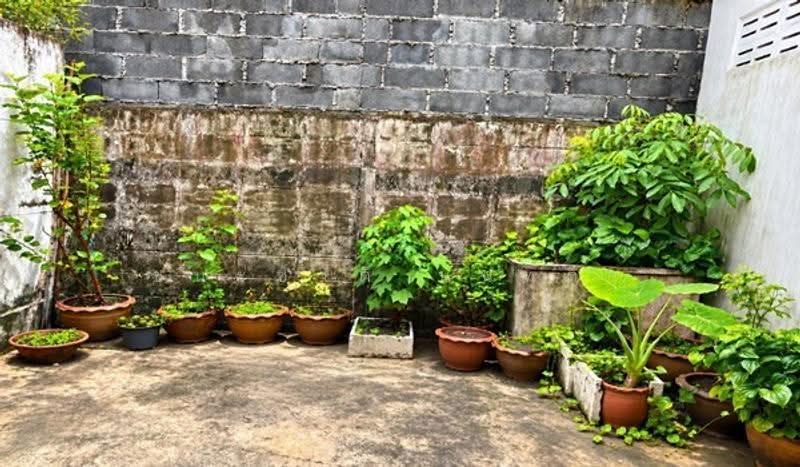 Prachaniwet 3, Nonthaburi, Prachaniwet 3 Road, Tha-Sai, Muang Nonthaburi, Nonthaburi, 2 Bedrooms, 64 sqm, Townhouse For Sale, by ชนะชาติ นนท์ตา, 500685649 - DDproperty.com