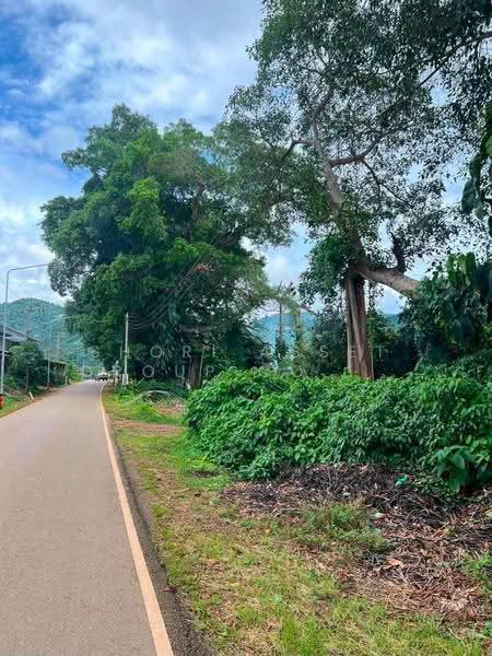 ที่ดินแม่ริม, เชียงใหม่, แม่สา, แม่ริม, เชียงใหม่, 6,000 ตร.ม., ที่ดิน ให้เช่า, โดย Shori Asset Group Co., Ltd., 500687869 - DDproperty.com