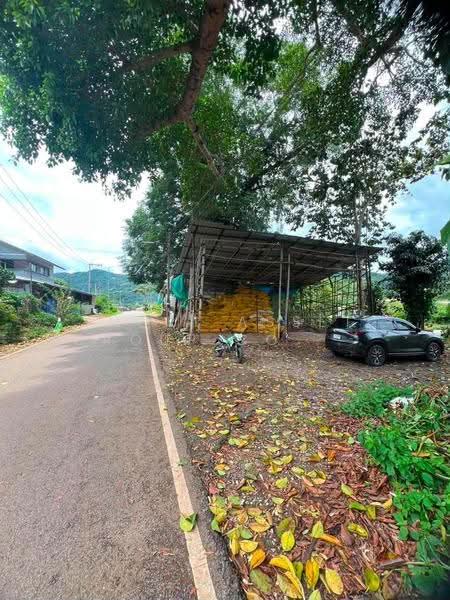ที่ดินแม่ริม, เชียงใหม่, แม่สา, แม่ริม, เชียงใหม่, 6,000 ตร.ม., ที่ดิน ให้เช่า, โดย Shori Asset Group Co., Ltd., 500687869 - DDproperty.com