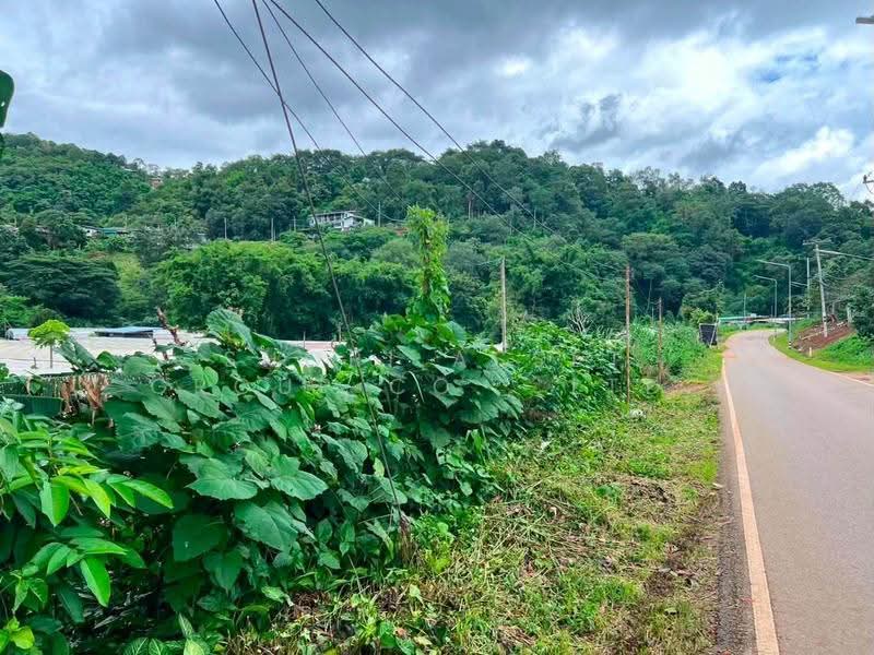 ที่ดินแม่ริม, เชียงใหม่, แม่สา, แม่ริม, เชียงใหม่, 6,000 ตร.ม., ที่ดิน ให้เช่า, โดย Shori Asset Group Co., Ltd., 500687869 - DDproperty.com