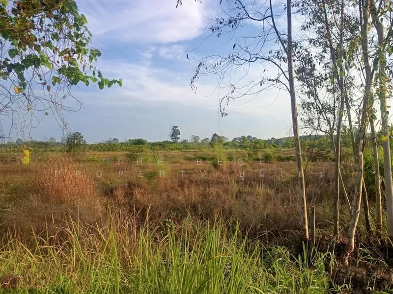 ที่ดินเซกา บึงกาฬ, Bueng Kan, Tha Kok Daeng, Seka, Bueng Kan, , 8,984 sqm, Land For Sale, by The Best Property ยูมิโกะ, 500690530 - DDproperty.com