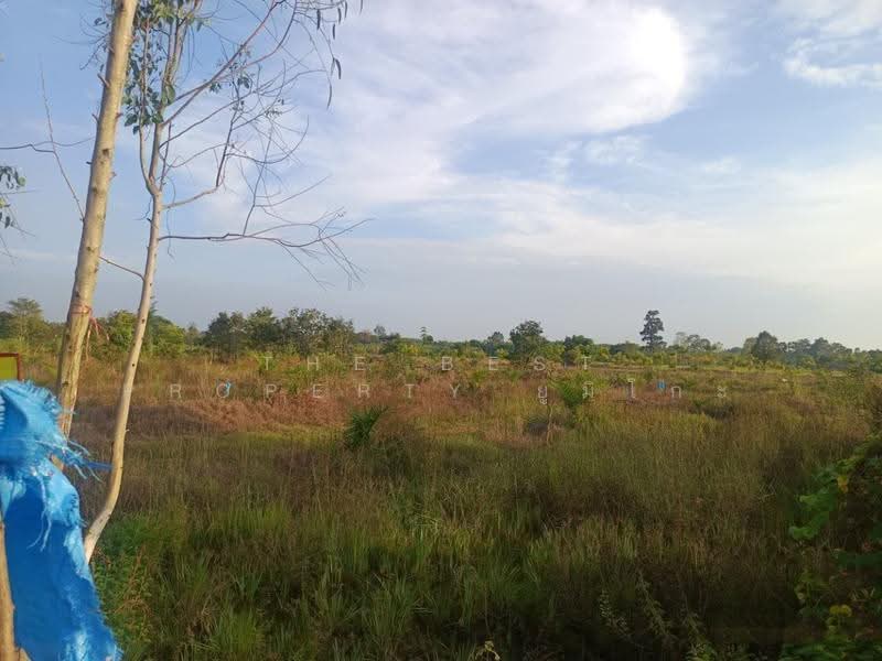 ที่ดินเซกา บึงกาฬ, Bueng Kan, Tha Kok Daeng, Seka, Bueng Kan, , 8,984 sqm, Land For Sale, by The Best Property ยูมิโกะ, 500690530 - DDproperty.com