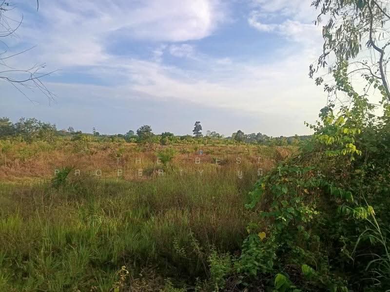 ที่ดินเซกา บึงกาฬ, Bueng Kan, Tha Kok Daeng, Seka, Bueng Kan, , 8,984 sqm, Land For Sale, by The Best Property ยูมิโกะ, 500690530 - DDproperty.com