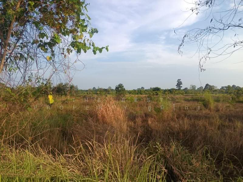 ที่ดินเซกา บึงกาฬ, Bueng Kan, Tha Kok Daeng, Seka, Bueng Kan, , 8,984 sqm, Land For Sale, by The Best Property ยูมิโกะ, 500690530 - DDproperty.com