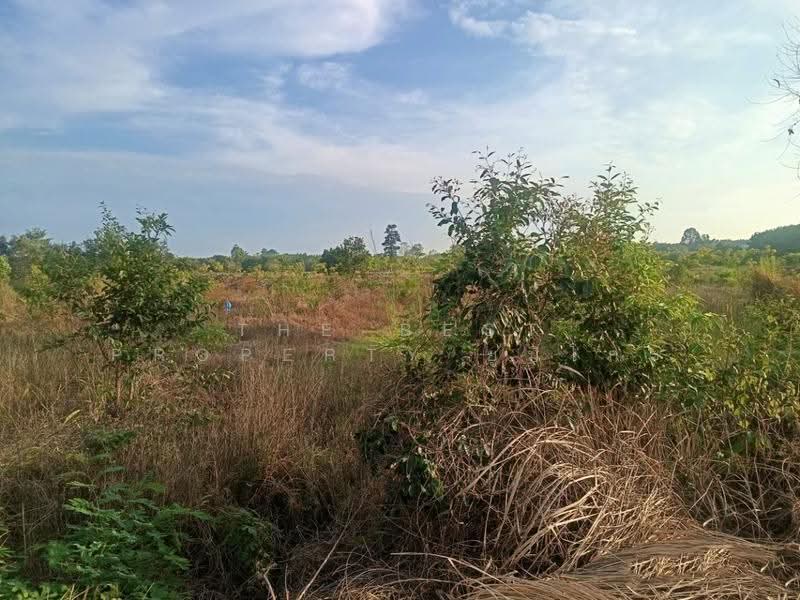 ที่ดินเซกา บึงกาฬ, Bueng Kan, Tha Kok Daeng, Seka, Bueng Kan, , 8,984 sqm, Land For Sale, by The Best Property ยูมิโกะ, 500690530 - DDproperty.com