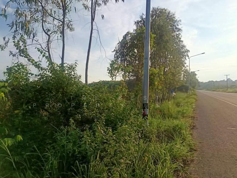 ที่ดินเซกา บึงกาฬ, Bueng Kan, Tha Kok Daeng, Seka, Bueng Kan, , 8,984 sqm, Land For Sale, by The Best Property ยูมิโกะ, 500690530 - DDproperty.com