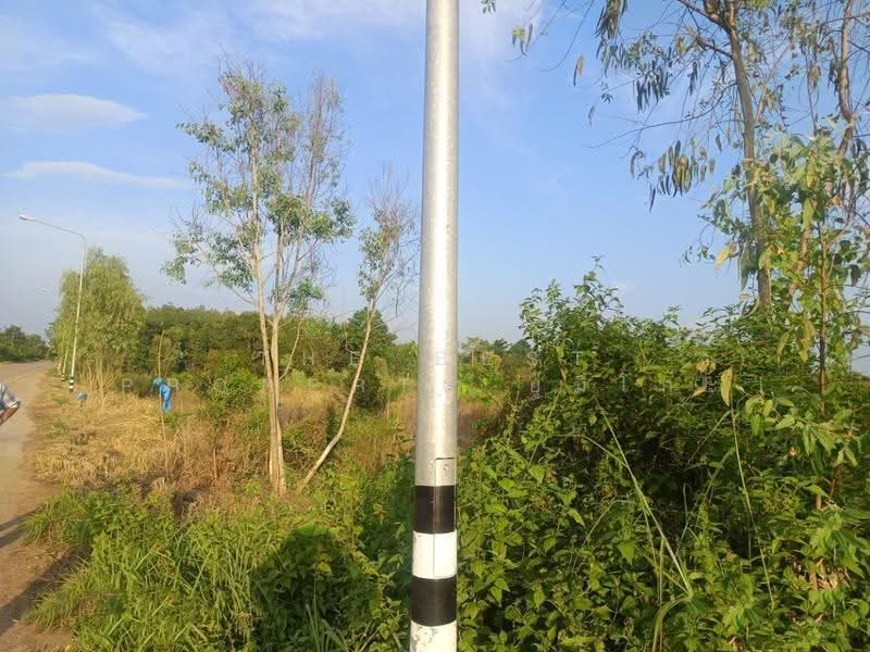 ที่ดินเซกา บึงกาฬ, Bueng Kan, Tha Kok Daeng, Seka, Bueng Kan, , 8,984 sqm, Land For Sale, by The Best Property ยูมิโกะ, 500690530 - DDproperty.com