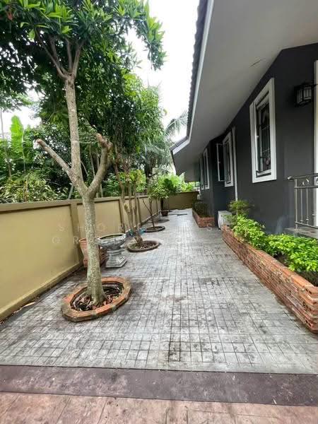 บ้านเดี่ยว สารภี เชียงใหม่, เชียงใหม่, สารภี, เชียงใหม่, 200 ตร.ม., บ้านเดี่ยว ให้เช่า, โดย Shori Asset Group Co., Ltd., 500690918 - DDproperty.com