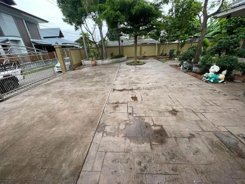 บ้านเดี่ยว สารภี เชียงใหม่, เชียงใหม่, สารภี, เชียงใหม่, 200 ตร.ม., บ้านเดี่ยว ให้เช่า, โดย Shori Asset Group Co., Ltd., 500690918 - DDproperty.com