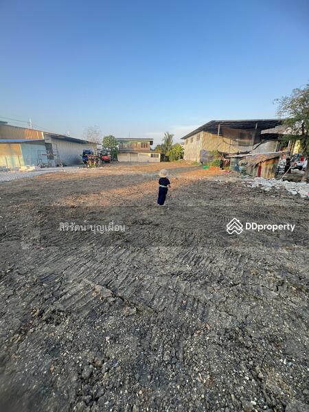 ที่ดินให้เช่าซอยวัดใหญ่ถนนสุขสวัสดิ์, สมุทรปราการ, ในคลองบางปลากด, พระสมุทรเจดีย์, สมุทรปราการ, 800 ตร.ม., ที่ดิน ให้เช่า, โดย สิริรัตน์ บุญเผื่อน, 5014247 - DDproperty.com