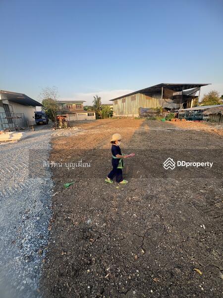 ที่ดินให้เช่าซอยวัดใหญ่ถนนสุขสวัสดิ์, สมุทรปราการ, ในคลองบางปลากด, พระสมุทรเจดีย์, สมุทรปราการ, 800 ตร.ม., ที่ดิน ให้เช่า, โดย สิริรัตน์ บุญเผื่อน, 5014247 - DDproperty.com