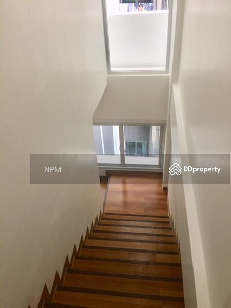 Commercial Building for rent : Open for All Business Office | Showroom | Shop | Studio, กรุงเทพ, เอกมัย, คลองตันเหนือ, วัฒนา, กรุงเทพ, 270 ตร.ม., ตึกแถว-อาคารพาณิชย์ ให้เช่า, โดย C C  R E A L T O R, 5074949 - DDproperty.com