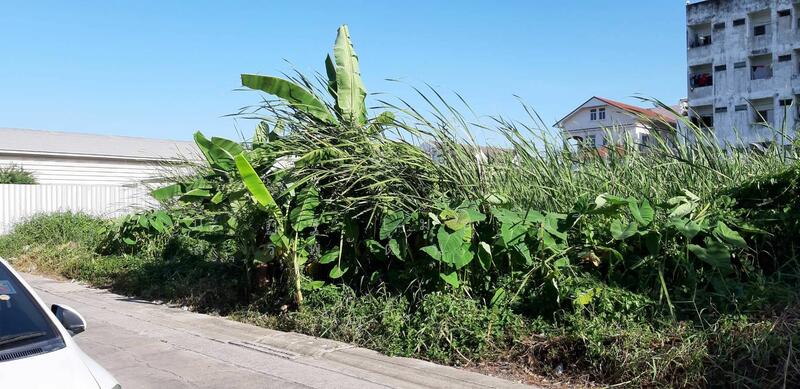 ขาย - ขายที่ดินติดถนนเพชรเกษม53ไร่ ชะอำ เพชรบุรี ไร่ละ8. 5ล้าน โทร081-7329399 โทร 080 1896535