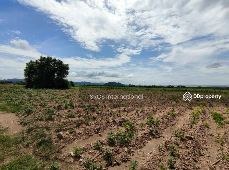Land for sale, Bo Ploy, Kanchanaburi 10 Rai, Connect to Route 3086, Nice Land, Good for investment., Kanchanaburi, ถนน ลาดหญ้า-บ่อพลอย, Nong Kum, Bo Phloi, Kanchanaburi, , 102,788 sqm, Land For Sale, by Khun Napapat, 5169023 - DDproperty.com