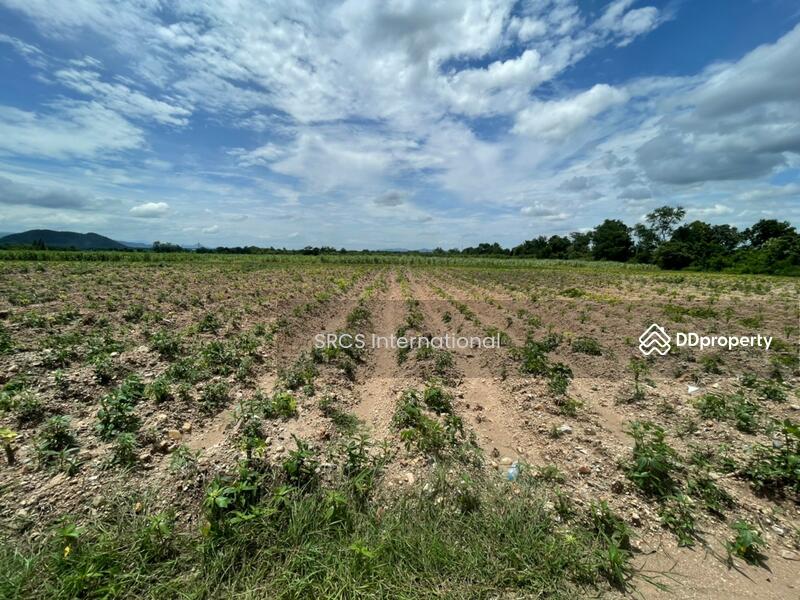Land for sale, Bo Ploy, Kanchanaburi 10 Rai, Connect to Route 3086, Nice Land, Good for investment., Kanchanaburi, ถนน ลาดหญ้า-บ่อพลอย, Nong Kum, Bo Phloi, Kanchanaburi, , 102,788 sqm, Land For Sale, by Khun Napapat, 5169023 - DDproperty.com