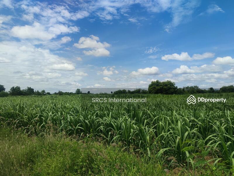 For Sale - Land in Kanchanaburi, Bo Ploi, 14 rai, suitable for a gas station, investment, located by Road 3086, Kanchanaburi