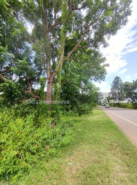 For Sale - Land in Kanchanaburi, Bo Ploi, 14 rai, suitable for a gas station, investment, located by Road 3086, Kanchanaburi