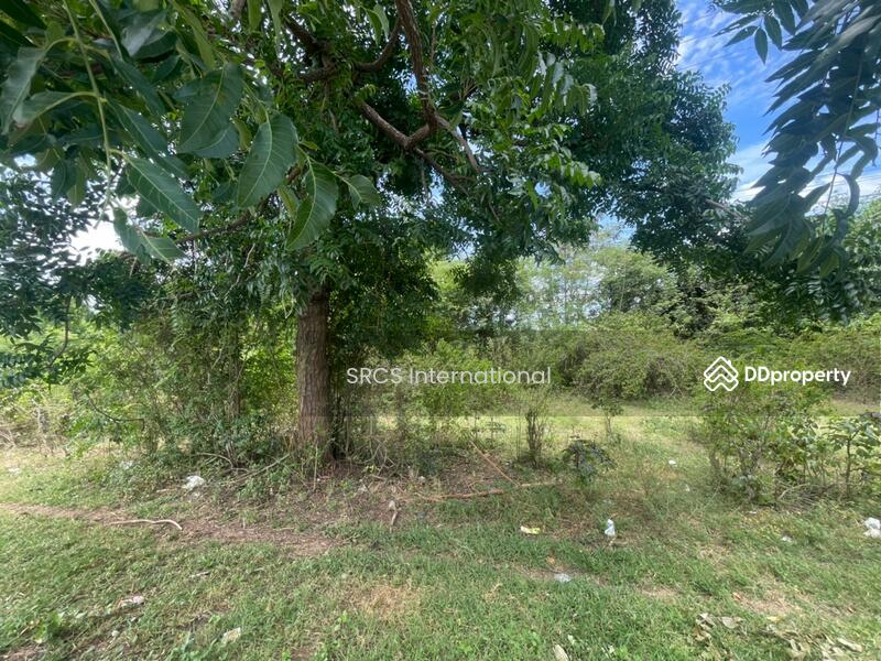 For Sale - Land in Kanchanaburi, Bo Ploi, 14 rai, suitable for a gas station, investment, located by Road 3086, Kanchanaburi