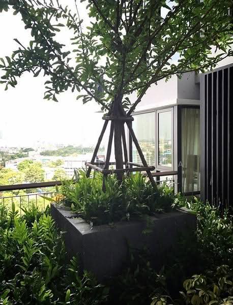 Rhythm Sukhumvit 42, Bangkok, Soi Sukhumvit 42, Sukhumvit Road, Phra Kanong, Khlong Toei, Bangkok, 1 Bedroom, 48 sqm, Condo For Rent, by PROPERTYSIGHTS REAL ESTATE, 5317988 - DDproperty.com