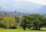ขายที่ดิน 600 ไร่ เขาใหญ่  ที่สวยมาก ล้อมไปด้วยภูเขา ขาย 5 ล้านบาท/ไร่ รวม 3,000 ล้านบาท - DDproperty.com