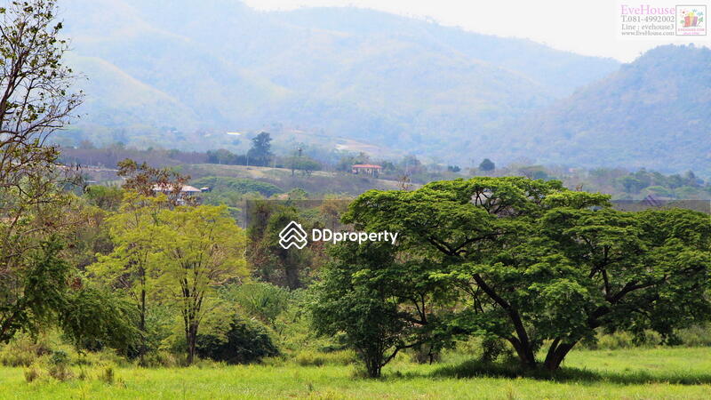 For Sale - เขาใหญ่, Nakhon Ratchasima