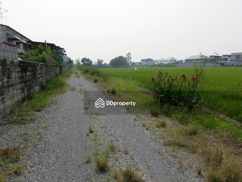 ที่ดินเปล่า4 ไร่ ทวีวัฒนา, กรุงเทพ, 22/9 Soi Thawi Watthana 19, ทวีวัฒนา, ทวีวัฒนา, กรุงเทพ, 7,584 ตร.ม., ที่ดิน ขาย, โดย Meechai Kunsan, 5403044 - DDproperty.com